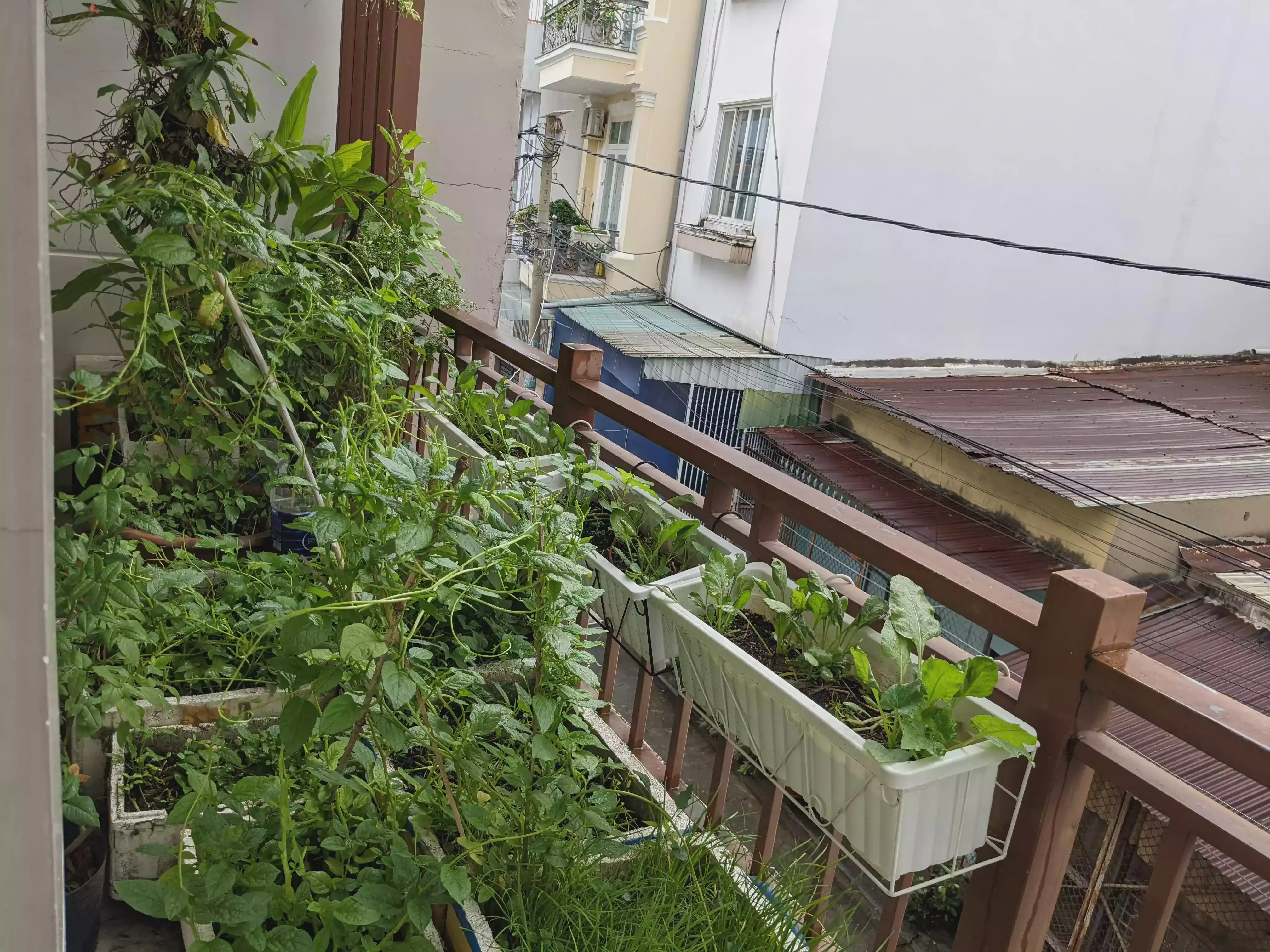 /images/post/asie/asie-sud-est/01-vietnam/03-bien-hoa/balcony/bien_hoa_28.webp