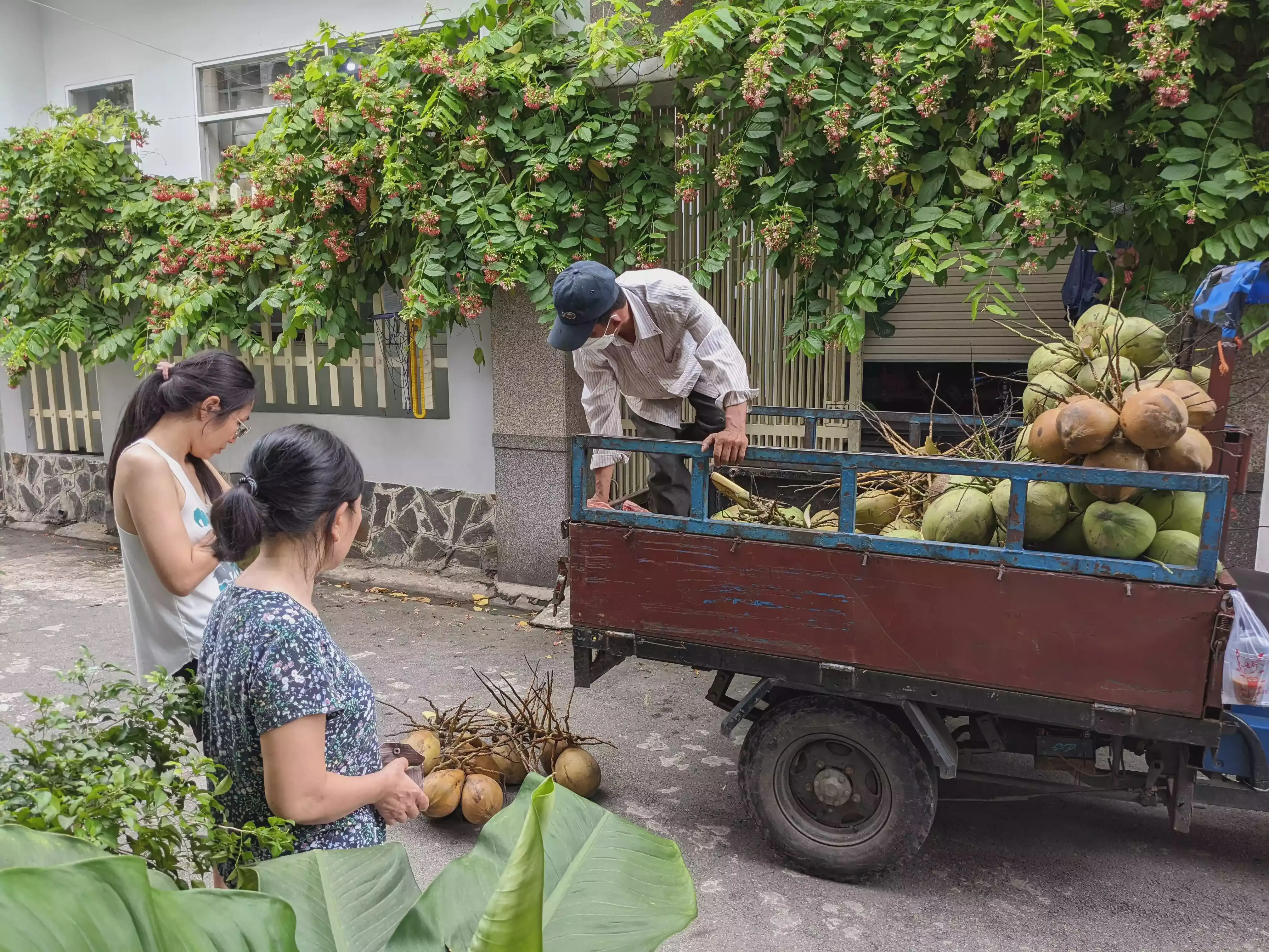 /images/post/asie/asie-sud-est/01-vietnam/03-bien-hoa/coconut-1/bien_hoa_46.webp