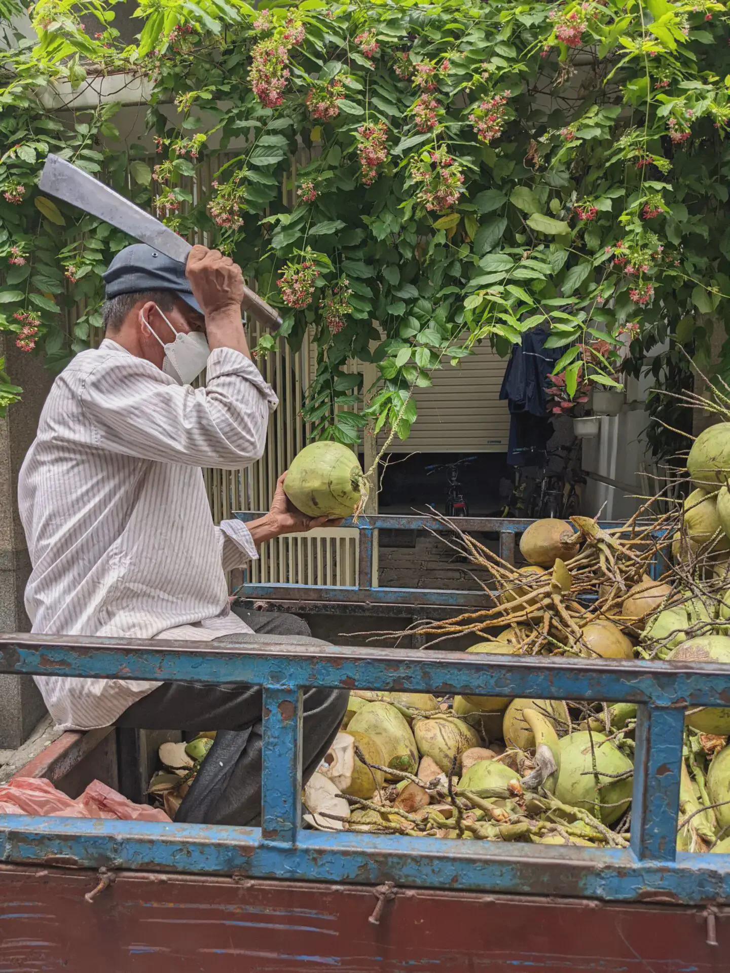 /images/post/asie/asie-sud-est/01-vietnam/03-bien-hoa/coconut-1/bien_hoa_coco_merchand.webp